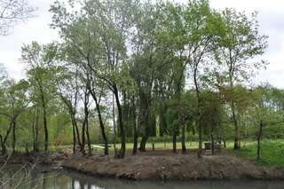 Дома для отпуска Forest Home Golubovci Дом с 1 спальней-32